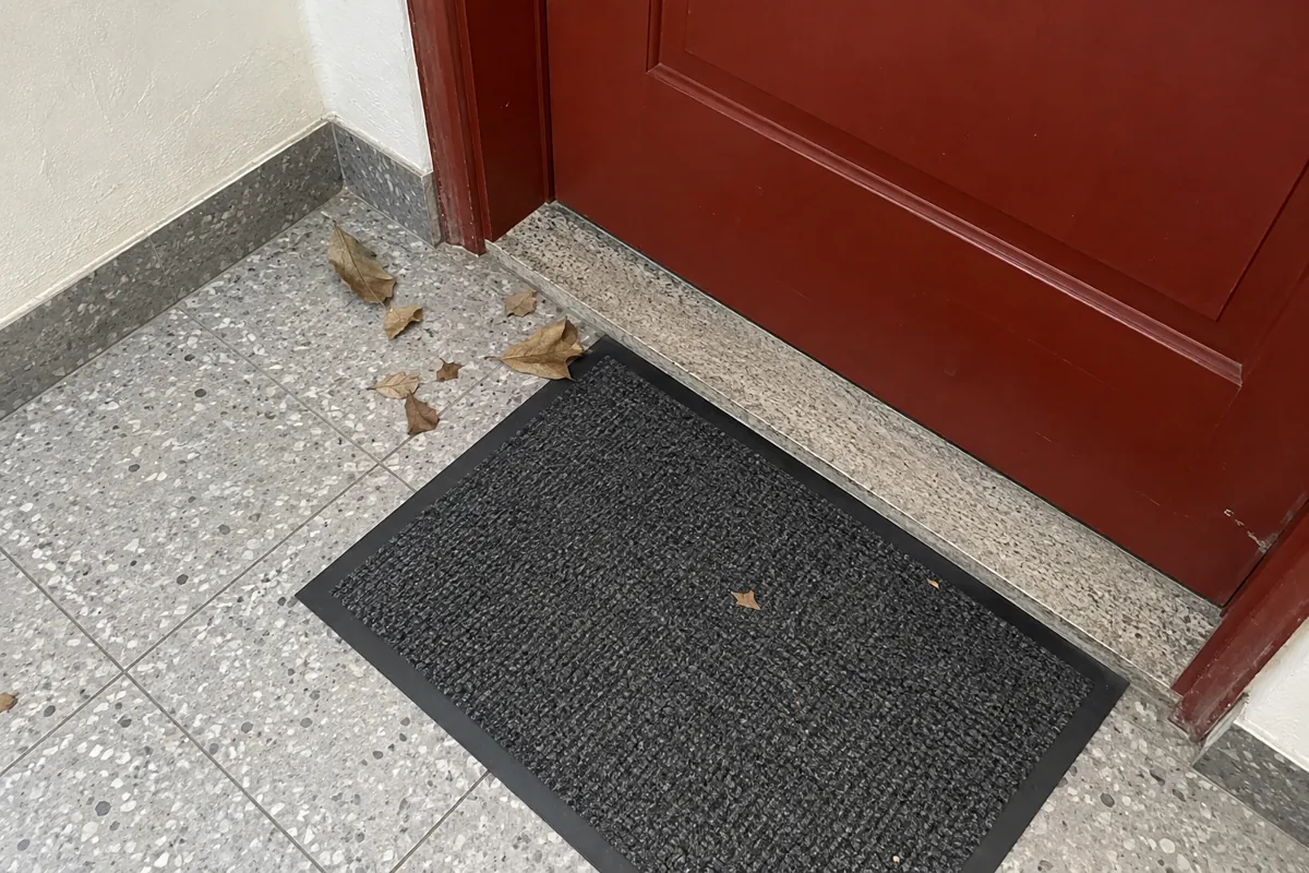 Hojas secas junto a un tapete oscuro frente a una puerta roja