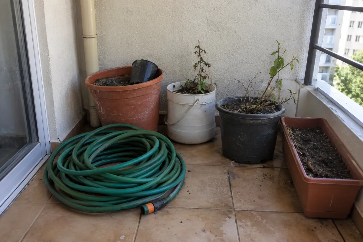 Una manguera enrollada y varios recipientes con tierra y plantas están en una esquina exterior