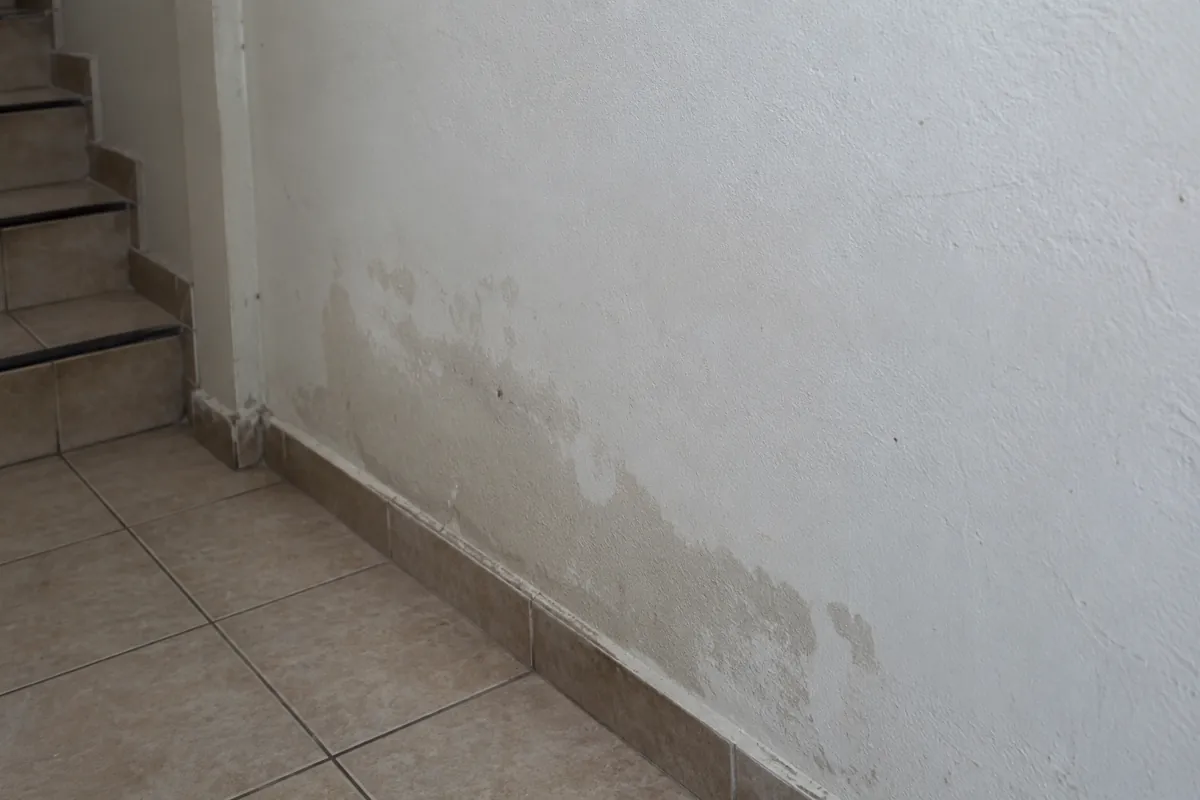 Manchas irregulares en la parte baja de una pared junto a una escalera